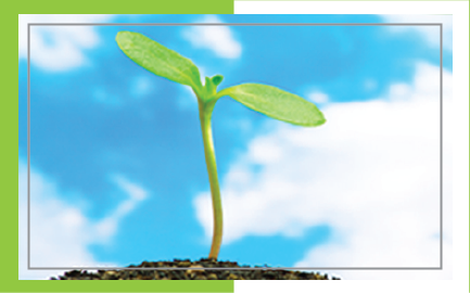 BİTKİSEL & HAYVANSAL ORGANİK ÜRÜNLER