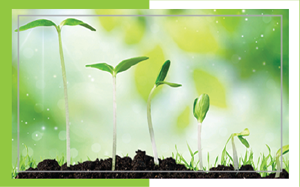 MAKRO & MİKRO ÖZEL GÜBRELER