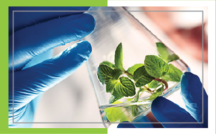 ÖZEL (SPECIFIC) GÜBRELER