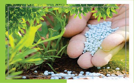 PH DÜZENLEYİCİLER