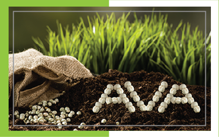 TOZ DAMLAMA & YAPRAK GÜBRELERİ